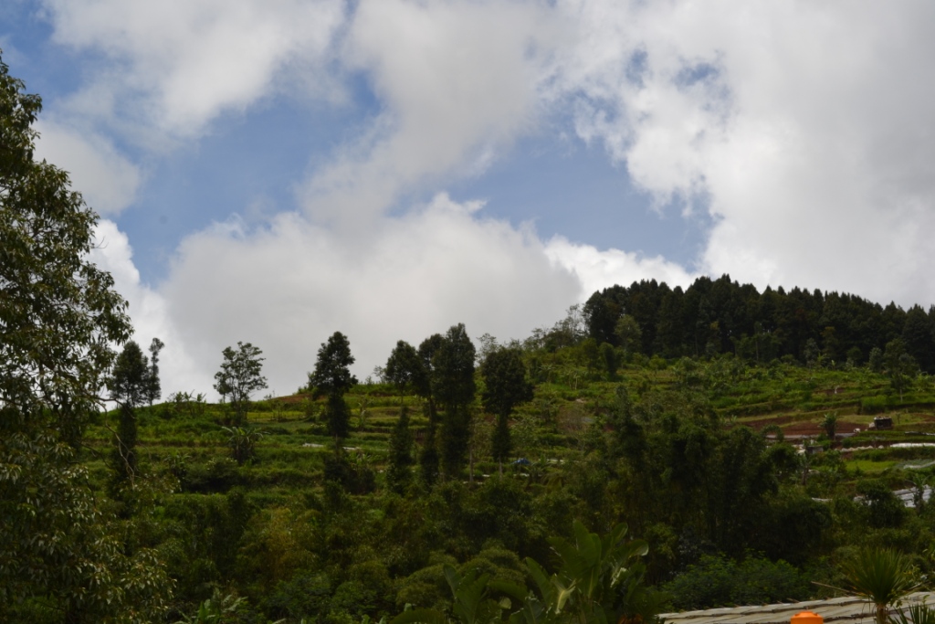 Property - Tanah di tepi danau Beratan, Bedugul - TJBE016 